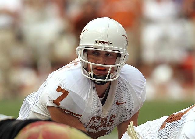 职业生涯的 职业生涯的