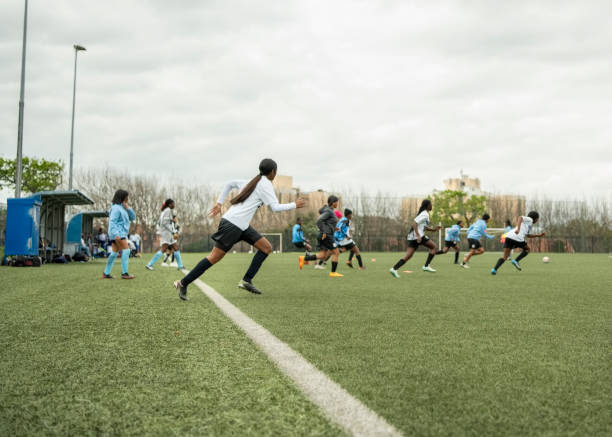 業內專家建 業內專家建